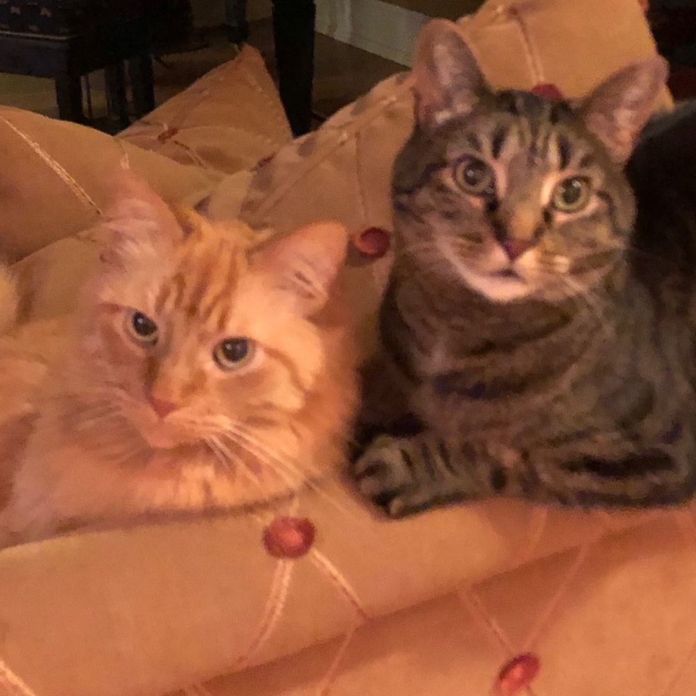 Meet your Posher, Edie